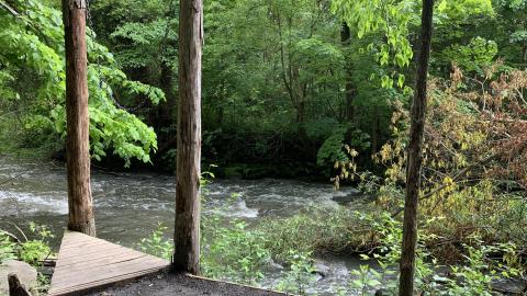 Don River Hangout - IMG_4142.jpg