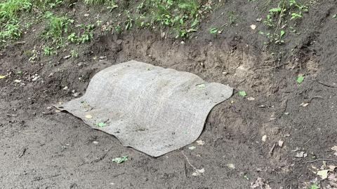 Don River Hangout - IMG_4139.jpg