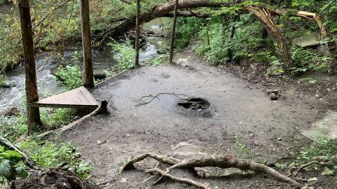 Don River Hangout - IMG_4137.jpg