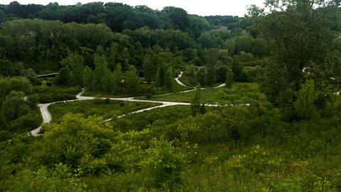 Photo from June 2018: From the Top of the Brickworks