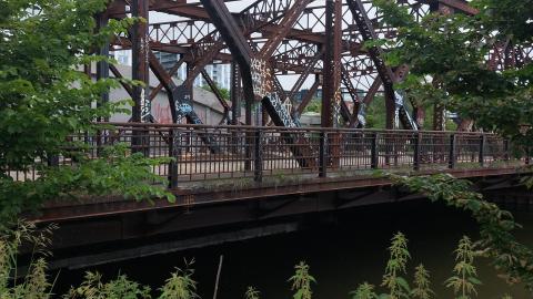 Re fenced - 20220611_151121_003.jpg