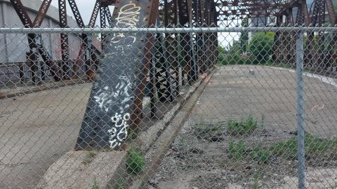 Re fenced - 20220611_151104_001.jpg