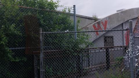 Re fenced - 20220611_151052_005.jpg