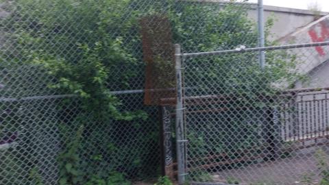 Re fenced - 20220611_151052_001.jpg