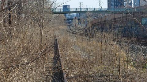 March 2022 - 20220320_163519_002.jpg