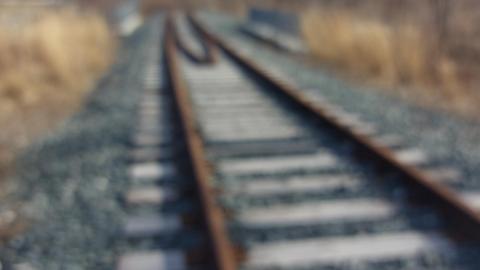 March 2022 - 20220320_162401_008.jpg