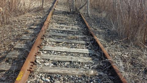 March 2022 - 20220320_162246_005.jpg