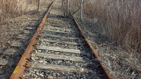 March 2022 - 20220320_162246_003.jpg