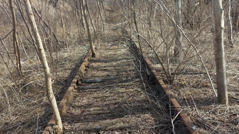 March 2022 - 20220320_162016_003.jpg