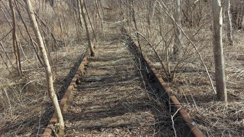 March 2022 - 20220320_162016_002.jpg