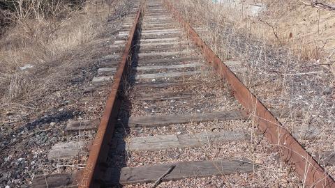 March 2022 - 20220320_154359.jpg