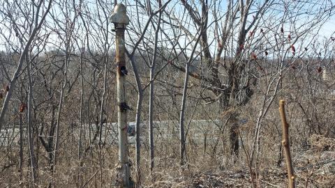 March 2022 - 20220320_155010_001.jpg