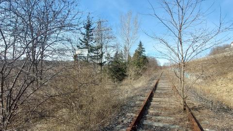 March 2022 - 20220320_154352.jpg