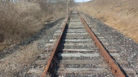 March 2022 - 20220320_154017_005.jpg