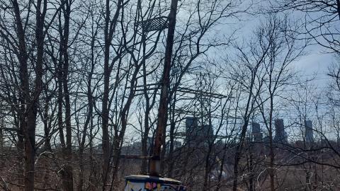 March 2022 - 20220320_153920.jpg