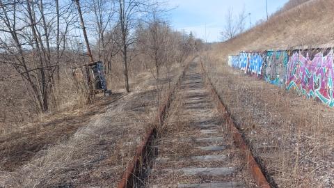 March 2022 - 20220320_153829_001.jpg