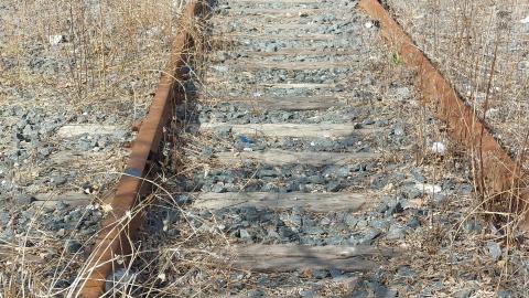 March 2022 - 20220320_153243_004.jpg