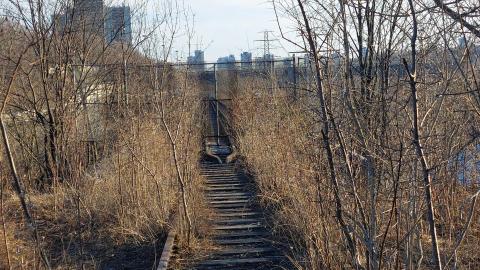 March 2022 - 20220306_163554_009.jpg