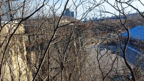 March 2022 - 20220306_162847_010.jpg