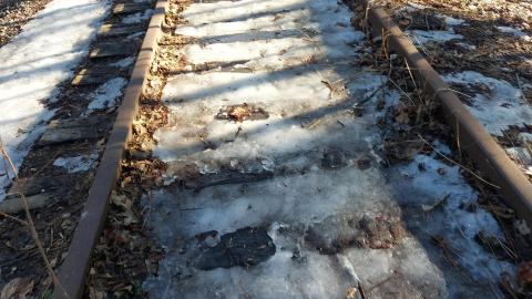 March 2022 - 20220306_160625_001.jpg