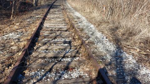 March 2022 - 20220306_150643_009.jpg