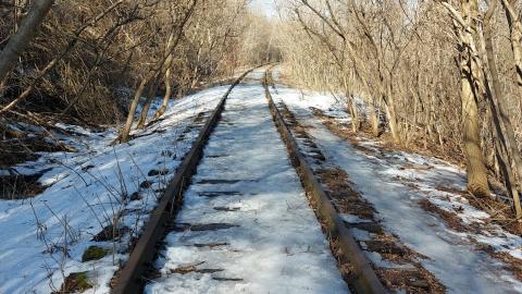 March 2022 - 20220306_150438_001.jpg