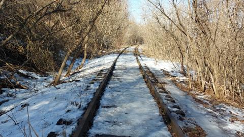 March 2022 - 20220306_150438_027.jpg