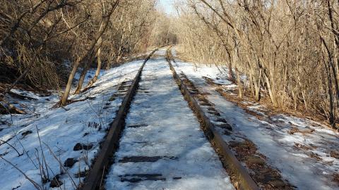 March 2022 - 20220306_150438_022.jpg