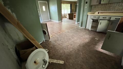 On The Edge Of Destruction - June 2022 - A751576D-4599-4B30-96E8-7C9E3091019D.jpeg