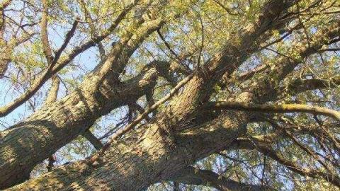 Gallery - DSCF1054.jpg