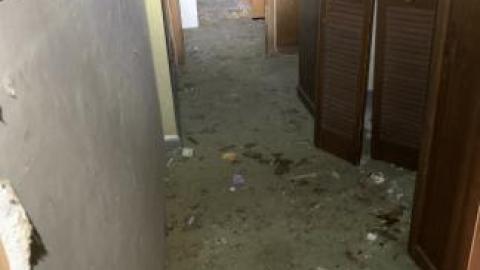 13 saw blades - IMG_4269.jpg