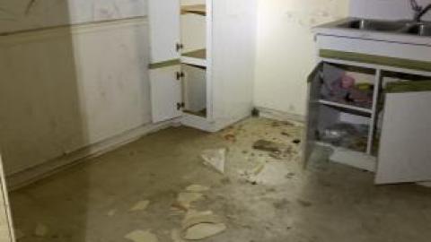 13 saw blades - IMG_4280.jpg