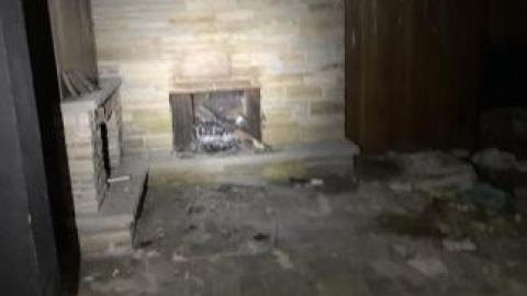 Photo from 13 saw blades