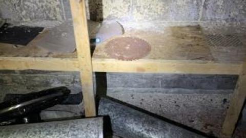 13 saw blades - IMG_4297.jpg