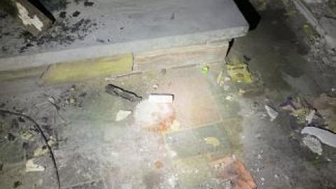 13 saw blades - IMG_4306.jpg