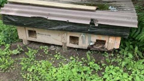 Inaccessible (Exteriors) - IMG_4325.jpg