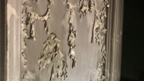 Fire! - IMG_4351.jpg