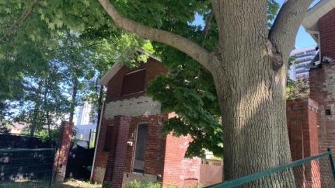 Photo from Behind the Wendy's