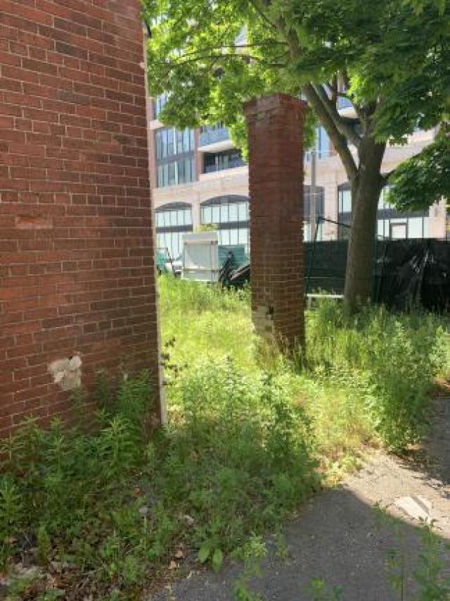 Pair near Davisville photo 4