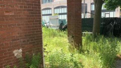 Photo from Behind the Wendy's