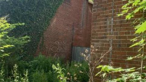 Behind the Wendy's - IMG_4402.jpg