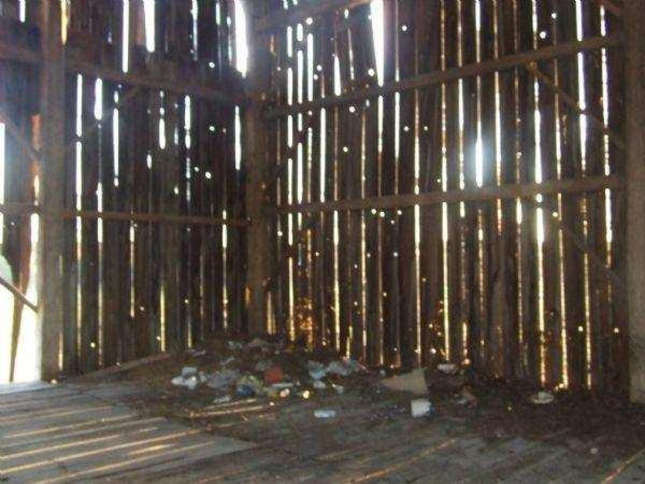 Gallery - DSCF1056.jpg