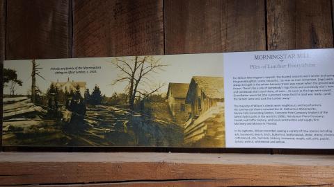 Mill day - 20220612_121624.jpg