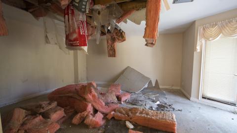 Before The Iceburg - May 2019 - 19.jpg