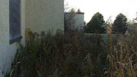 St. Mary's Catholic School photo 5