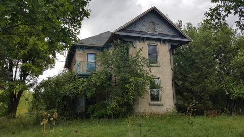 No Longer Abandoned in Morriston photo 3