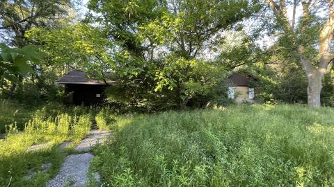 Abandoned house - ED47EC65-889E-4DA7-ADFB-D63DC50D08B1.jpeg