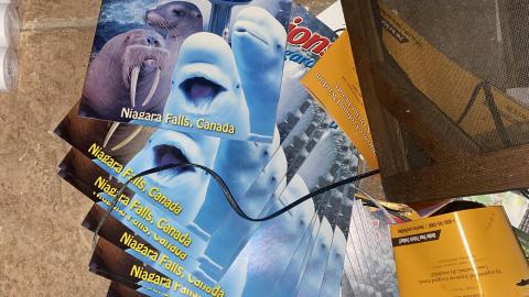 Inn the rooms - DFF65C5C-ACBB-48D2-AE91-DAFC55B656C8.jpeg