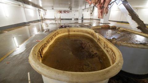 January 18th, 2015 - Mr Christie Factory Toronto Urtban Exploration-27.jpg