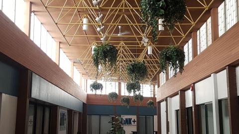 London Dead Mall, Wellington and 401 - London, Ontario